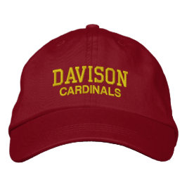 Davison Michigan High School Baseball Hat Broderad Keps