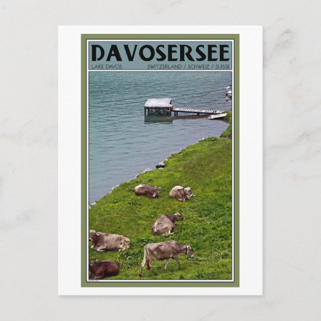Davos - Kor längs Lakefront Vykort (Framsida)