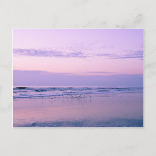 Dawn at the Beach Vykort