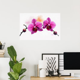 Dawn Bloom Orkidé Poster