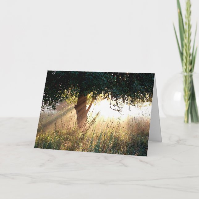 Dawn Deepest Sympathy Card Kort (Framsida)
