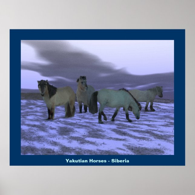 Dawn Horse Poster (Framsidan)