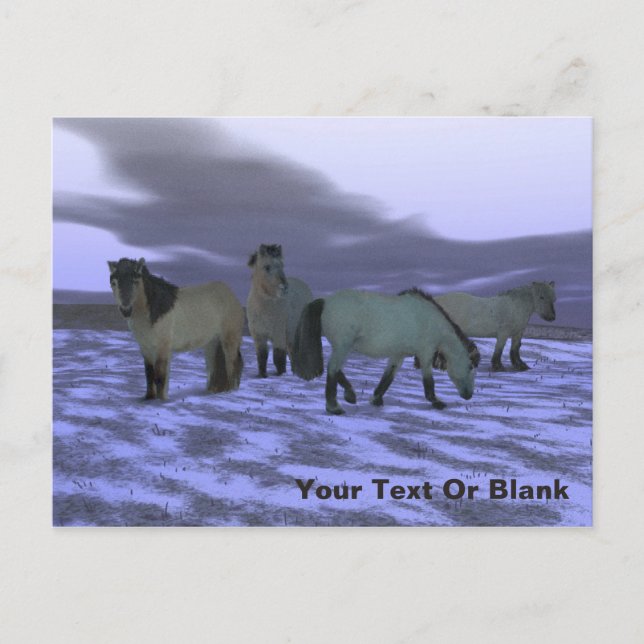 Dawn Horse Vykort (Framsida)