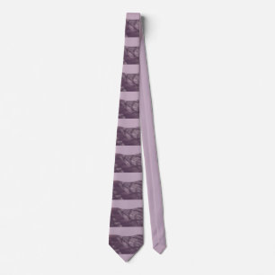 Dawn: Lavender Mist Silke Tie Slips