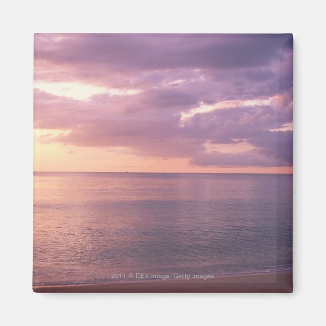 Dawn möter strand magnet (Framsidan)