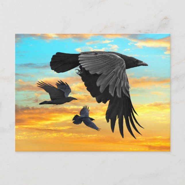 "Dawn Patrol" Vykort (Framsida)