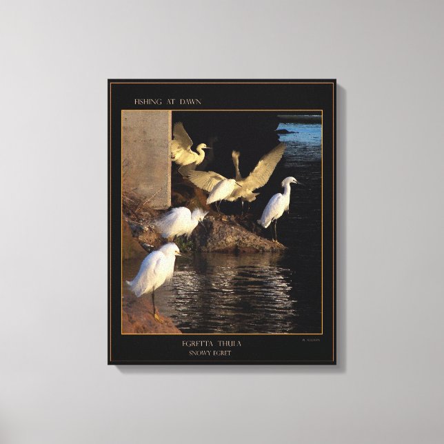 Dawn Snowy Egrets Wrapped Canvas (Framsida)