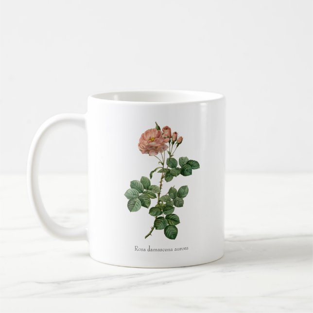 Dawn's : Rosa damascena "Aurora" Mugg (Vänster)