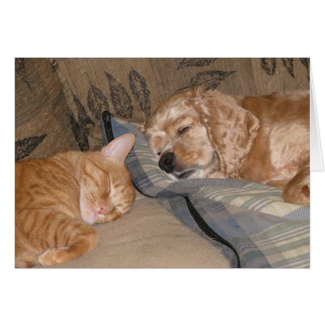 Dax och riskerar aktie hälsningskort (Framsidan Horizontal)