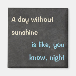 "Day without Sunshine" Lönt citattMagnet Magnet