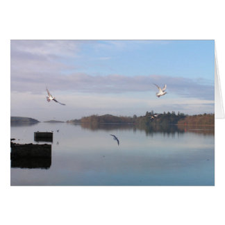 DAYBREAK, DONEGAL BAY OBS KORT