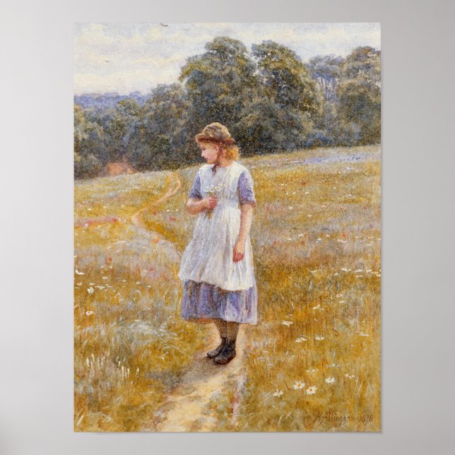 Daydreamer, 1878 poster (Framsidan)