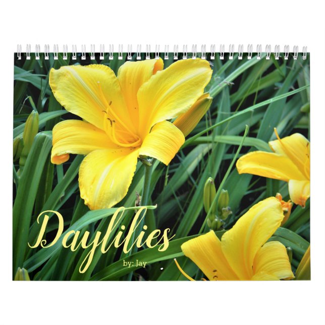 Daylilies Calendar Kalender (Omslag)