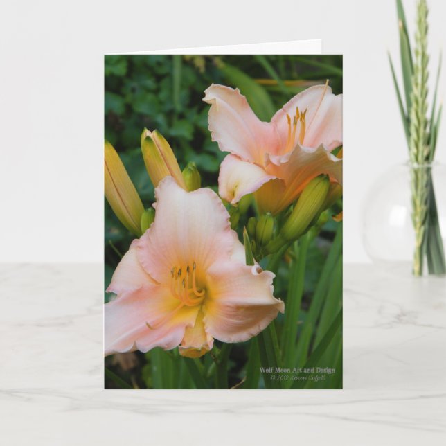 Daylilies / Cream med pastelliserad Rosa  / Kort (Framsida)