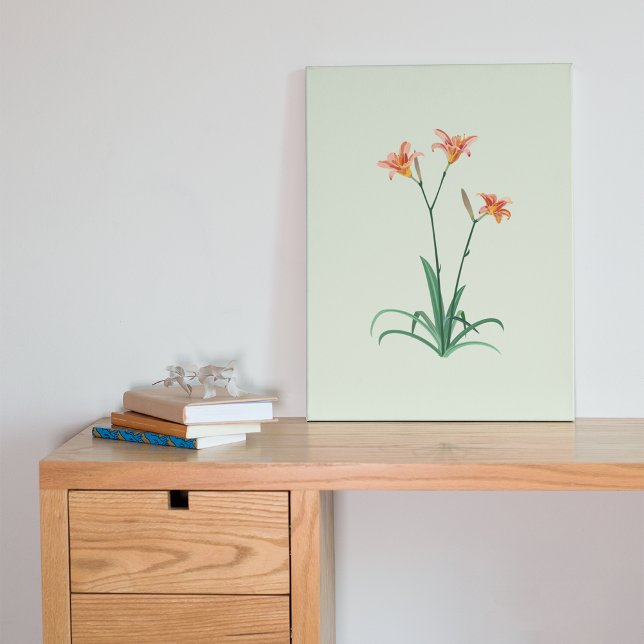 Daylilies Flower Fine Art Kanvastryck (Skapare uppladdad)