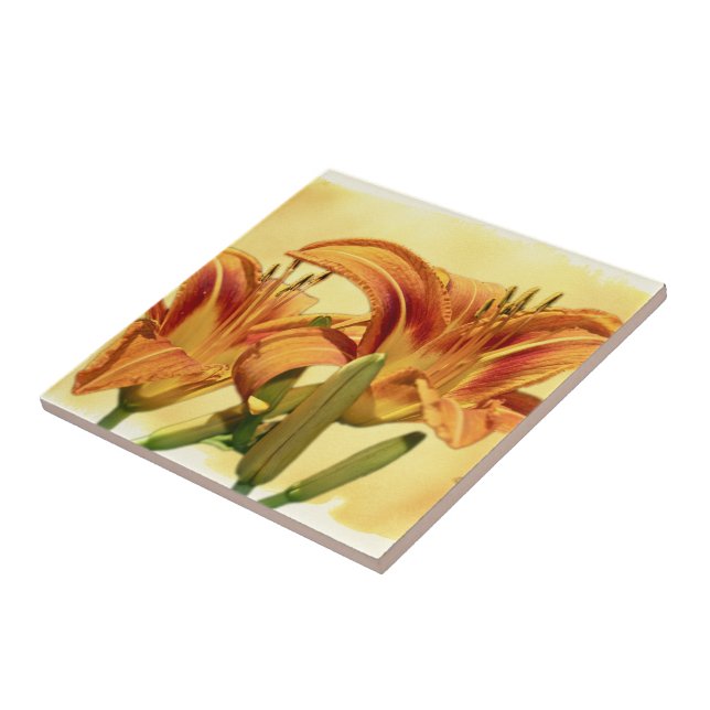 Daylilies - Hemerocallis Kakelplatta (Sidan)