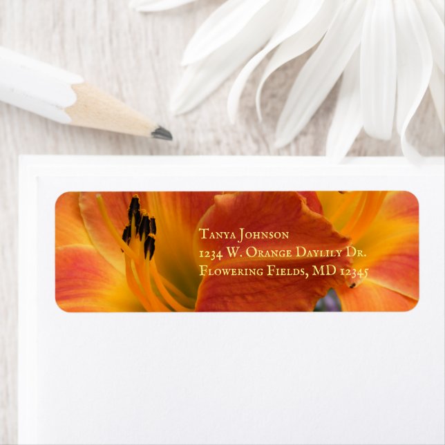 Daylilies / Hemerocallis / Orange Lily / Returadress Etikett (Insitu)