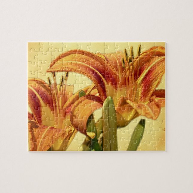 Daylilies - Hemerocallis Pussel (Horisontell)