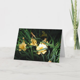 Daylilies Kort