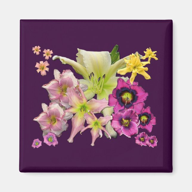 Daylily Collage Magnet (Framsidan)