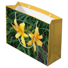 DAYLILY "Downey" Duo - ECHO PRINT.