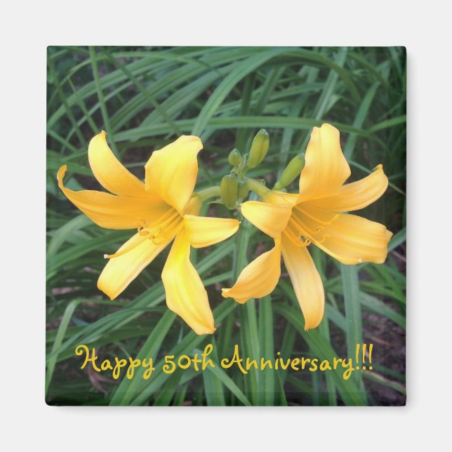 DAYLILY "Downey" Guld Duo — Magnet (Framsidan)