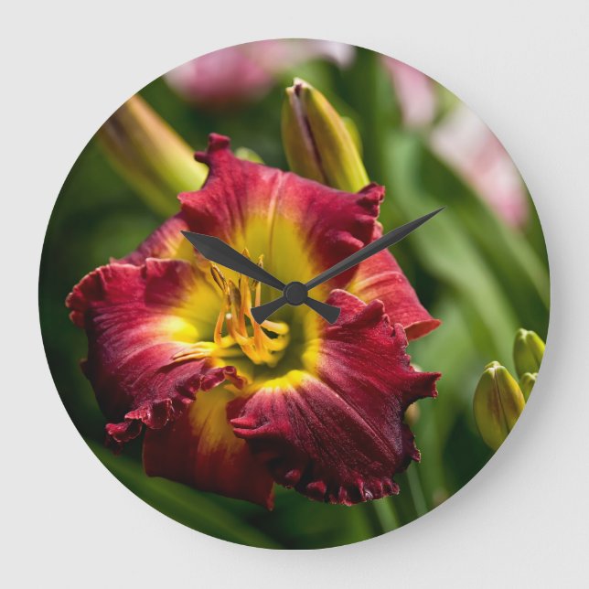 Daylily ’Dragon Kung’ Stor Klocka (Framsida)