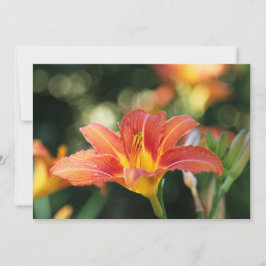 Daylily Flower Flat - tackkort Tack Kort