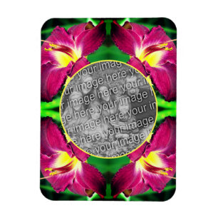 Daylily Flower Ram Skapar ditt eget foto Magnet