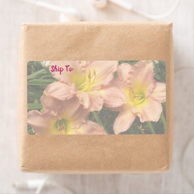 Daylily Flowers Trio/Rosa och Gult Fraktsedel (Insitu)