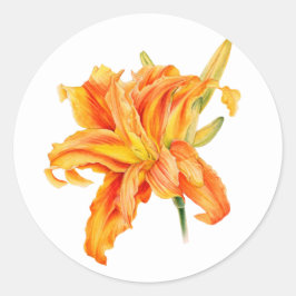 Daylily Hemerocallis orange-klistermärken för blom Runt Klistermärke