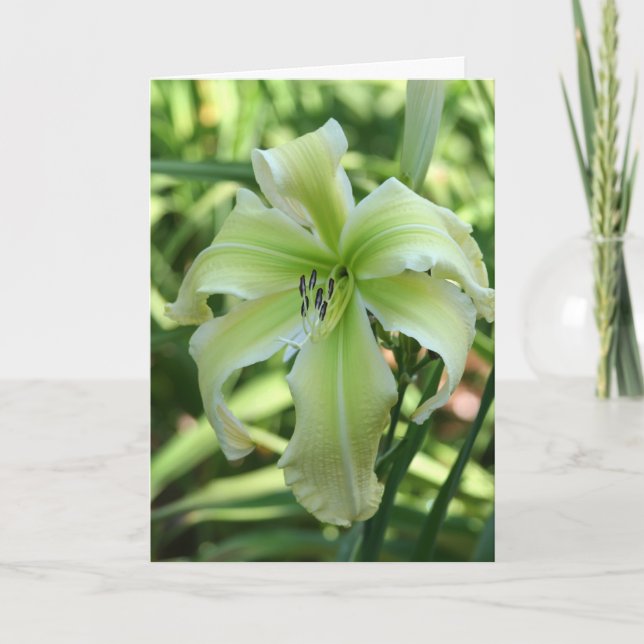 Daylily "himlen väntar på mig" kort (Framsida)