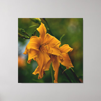 Daylily ’Jersey Spider’ Canvastryck