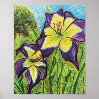 Daylily ’Laura Harwood’ Poster