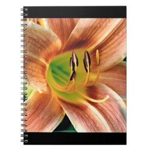 Daylily Macro Anteckningsbok