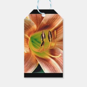 Daylily Macro Presentetikett
