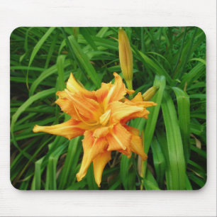 Daylily mousepad musmatta