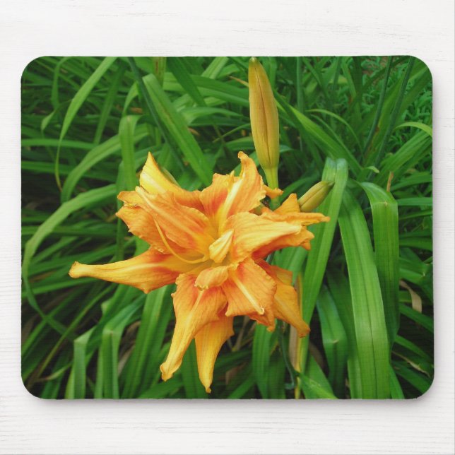 Daylily mousepad musmatta (Framsidan)