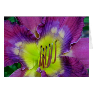 Daylily 'Nick av Time Hälsningskort