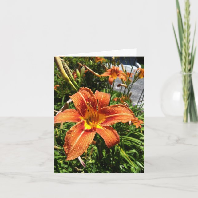 Daylily Notecards Kort (Framsida)