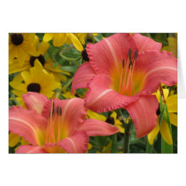 Daylily och Rudbeckia Combo Hälsningskort
