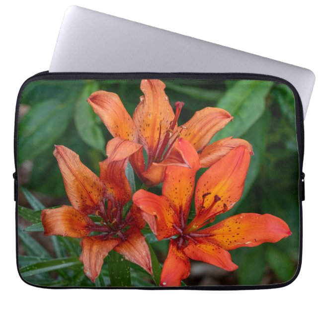 Daylily Orange Canadian Blomsterfotografi Laptop Fodral (Framsidan)
