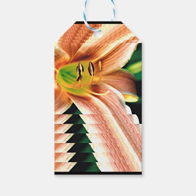Daylily Presentetikett (Framsidan)