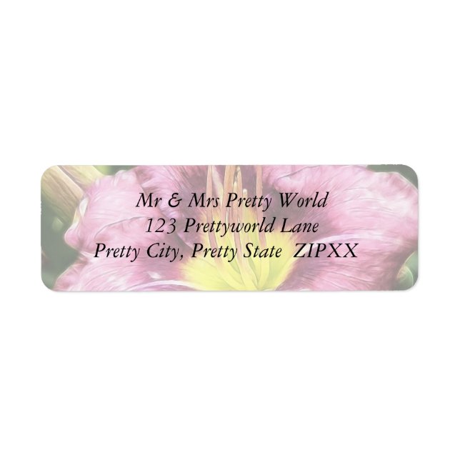 Daylily-Rosa Returadress Etikett (Framsidan)