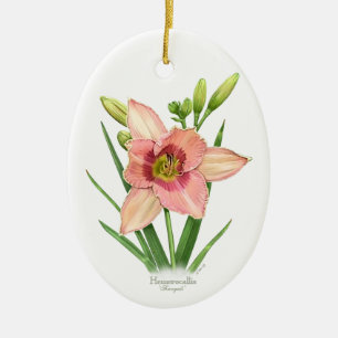 Daylily - Svengali Julgransprydnad Keramik