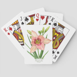 Daylily - Svengali Spel Kort