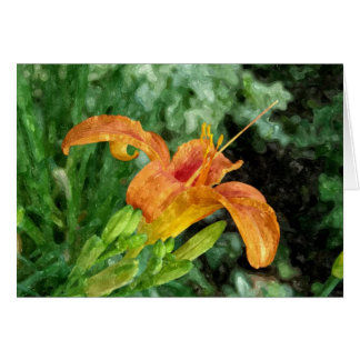 Daylily Watercolor OBS Kort
