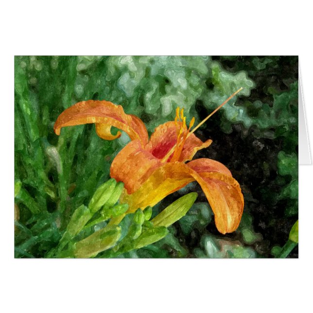 Daylily Watercolor OBS Kort (Framsidan Horizontal)
