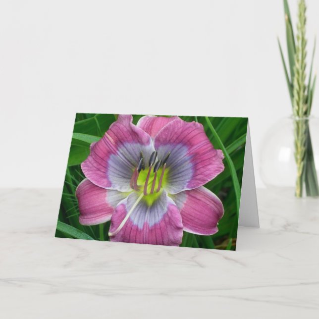 Daylily'Dixie deppigheter Kort (Framsida)