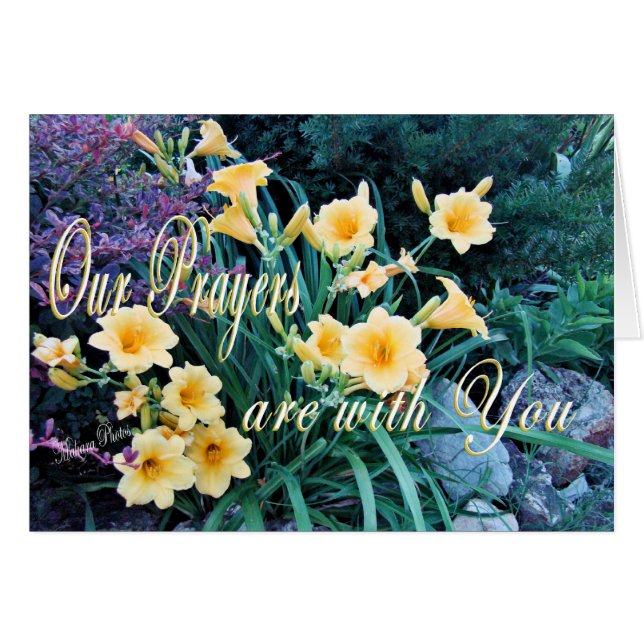 DayLilyPrayer Kort-skräddarsy Hälsningskort (Framsidan Horizontal)